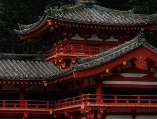 沈商简报