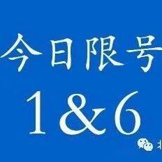 沈商生活指南
