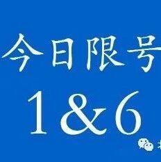 沈商生活指南