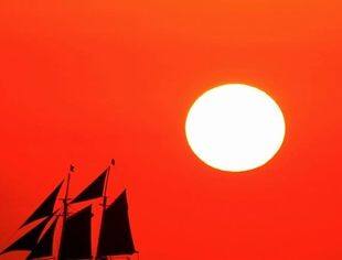 沈商简报