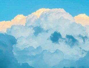 沈商简报