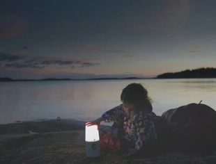 沈商简报