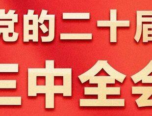 沈商简报