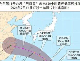 沈商简报