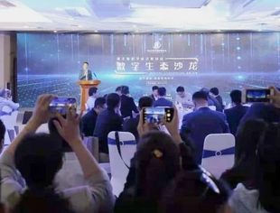 “数字赋能 提振电商经济” 河北省数字经济联合会首场数字生态沙龙成功举办