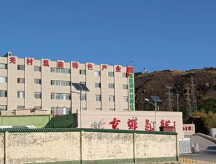 秘书处走访理事单位京辉氢能与副会长单位八亿时空