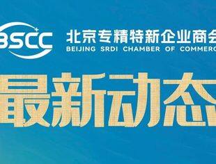 2023前三季度北京市各区新增专精特新企业情况