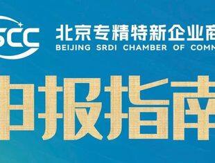 2024 国家级专精特新小巨人企业申报条件解析