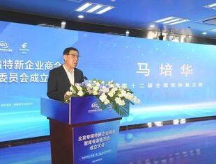 第十二届全国政协副主席马培华：商会智库专家委员会成立对推动专精特新企业高质量发展具有重要意义