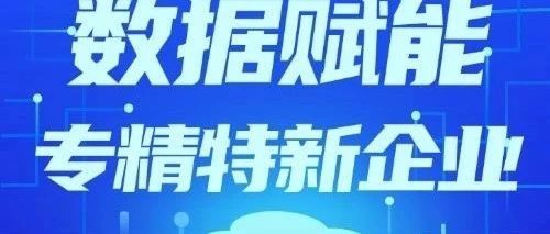 用数据赋能“专精特新”企业——数据服务需求统计表