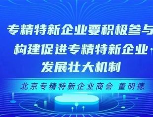 专精特新企业要积极参与构建促进专精特新企业发展壮大机制