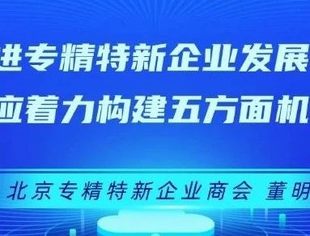 中国网发布《董明德：促进专精特新企业发展壮大应着力构建五方面机制》