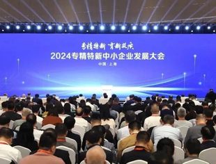 商会领导受邀参加2024专精特新中小企业发展大会
