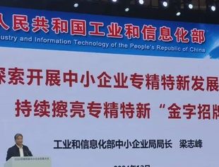 《中小企业专精特新发展评价指标体系》在2024专精特新中小企业发展大会上发布