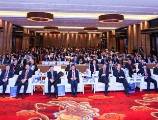 商会领导受邀参加2024（第二届）央地合作论坛