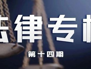 法律专栏-第十四期丨在商标侵权案中如何主张股东的连带责任？
