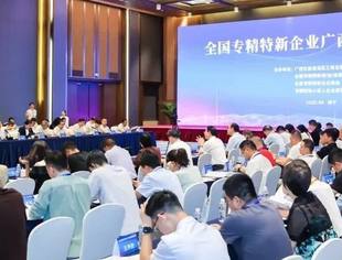 全国专精特新企业广西行对接座谈会圆满举办 共绘八桂产业发展新蓝图