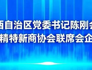 广西自治区党委书记陈刚会见全国专精特新商协会联席会企业代表
