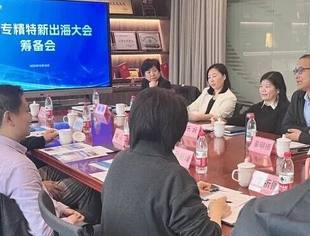商会牵头召开首届专精特新出海大会筹备会 聚链成舟为企业出海筑桥铺路