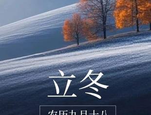 今日立冬 I 冬韵初呈天地归藏