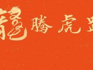 新的一年，龙腾虎跃！