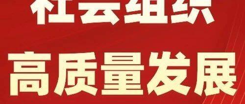 民政部社会组织管理局局长刘振国：坚持把高质量发展作为新时代社会组织工作的硬道理