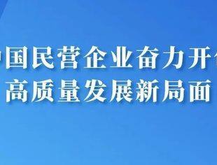 拼——中国民营企业奋力开创高质量发展新局面