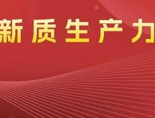 两会新华时评·用好总书记指导的方法论｜深刻领会因地制宜对发展新质生产力的重要意义