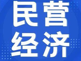 税收赋能 助力民营经济走上“快车道”