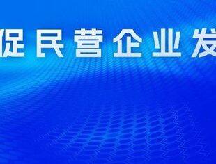 人民日报新视点：共促民营企业发展
