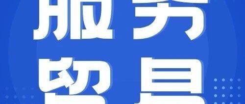 推动服务贸易释放更大潜能 为全球开放创新合作提供新机遇