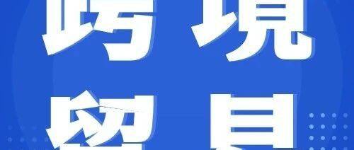 专项行动再启！力促跨境贸易便利化