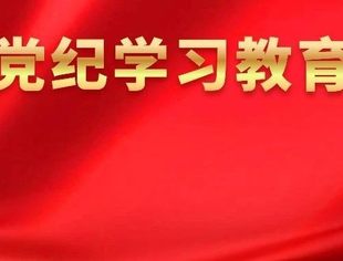 我会秘书处党支部召开党纪学习教育集中动员部署会