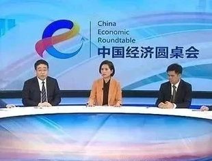 新华社“中国经济圆桌会”：中国新能源“产能过剩论”背后的真相