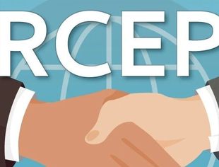 中改院报告：RCEP政策红利释放空间巨大