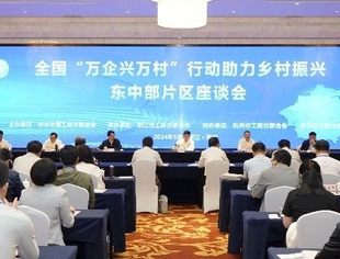 全国“万企兴万村”行动助力乡村振兴东中部片区座谈会召开