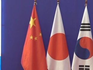 中日韩：经贸一体化的潜力与挑战