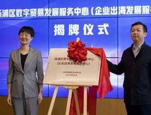 抢抓DEPA新机遇 激发外贸新活力——数字贸易发展按下“快进键”