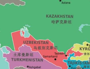 中国—中亚绿色合作生机盎然