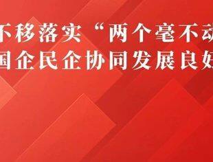 坚定不移落实“两个毫不动摇” 构建国企民企协同发展良好生态