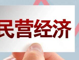 我国实有民营经济主体总量18045万户