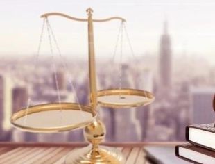 完善跨境法律服务护航企业稳健前行
