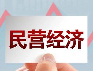 民营经济主体占比稳步提升 我国经济结构持续优化