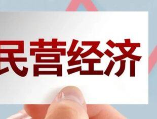 经营主体超1.8亿，民营经济走向更广阔舞台