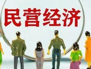 政策加力，民营经济跑出发展“加速度”