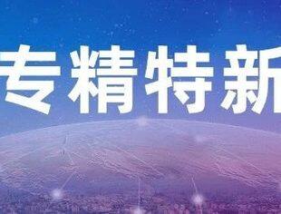 加大培育力度 财政资金精准支持专精特新中小企业高质量发展