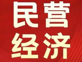 促进民营经济发展壮大，这份报告提出六方面重点工作