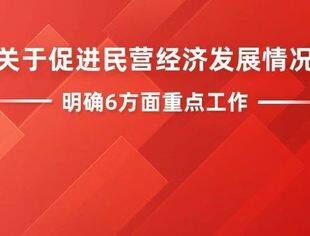 事关促进民营经济发展壮大，国务院报告明确6方面重点工作