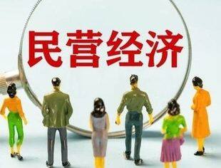 国务院关于促进民营经济发展情况的报告（全文）