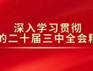 锐意改革，奋力开创工商联工作新局面——全国民营经济领域学习贯彻党的二十届三中全会精神综述之三